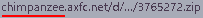 chimpanzee_afxc_net